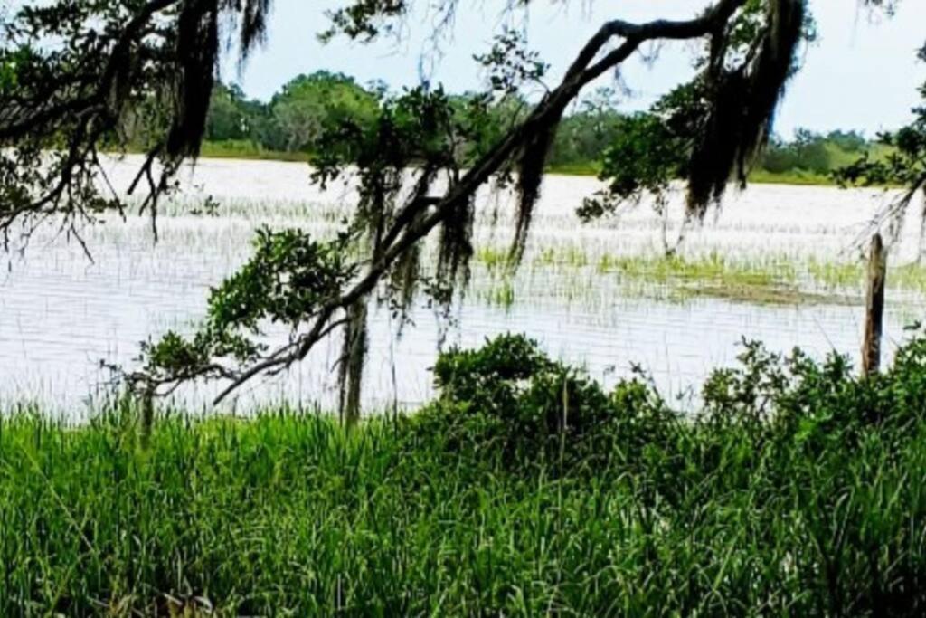 Secluded Tiny House By The Marsh With Hunting Island Beach Pass Frogmore Ngoại thất bức ảnh